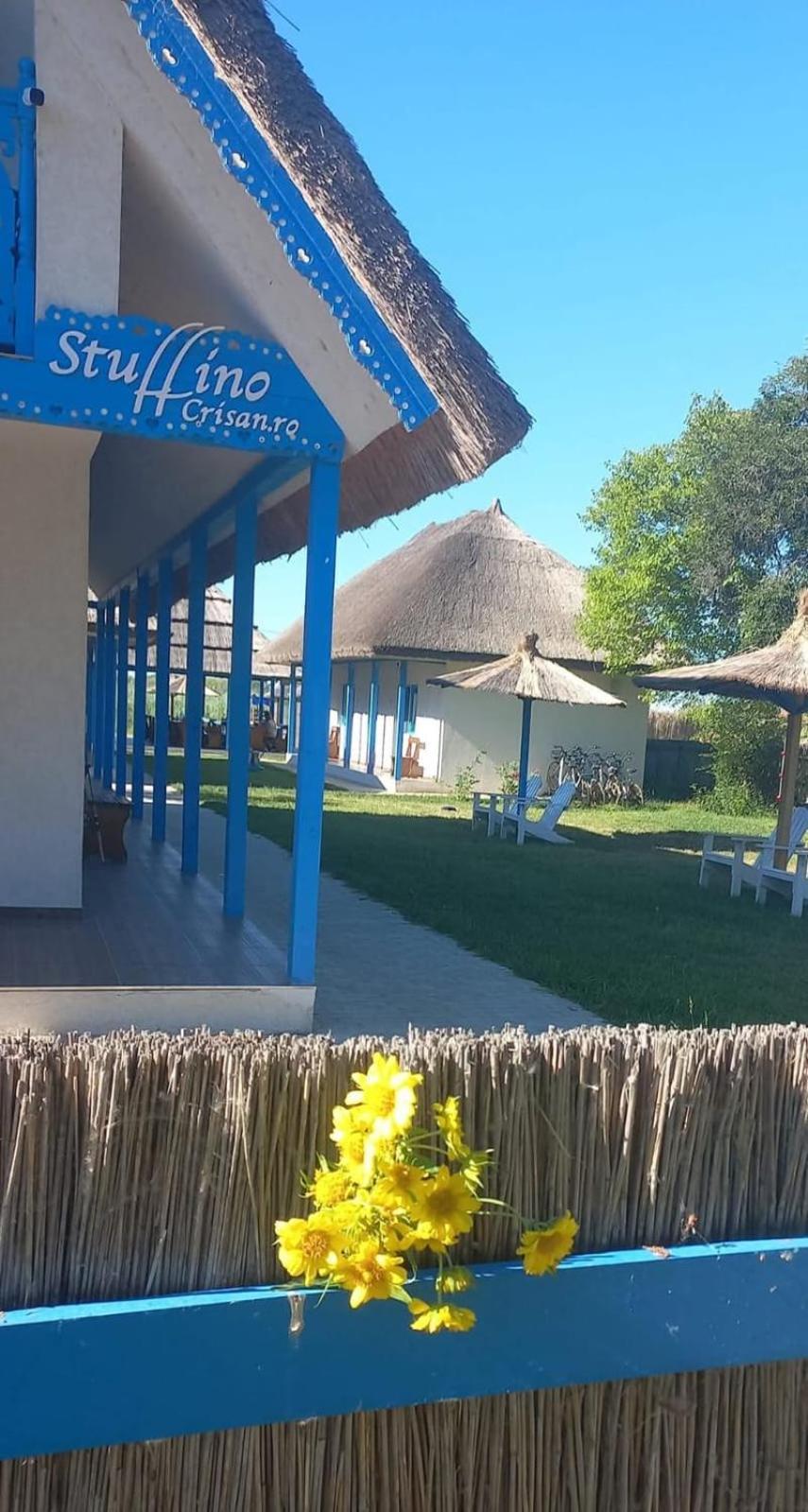 Stuffino Holiday home *