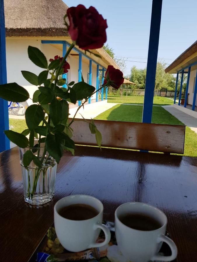 Holiday home Stuffino Crisan (Tulcea)